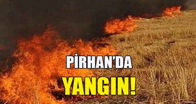 Pirhan’da yangın!