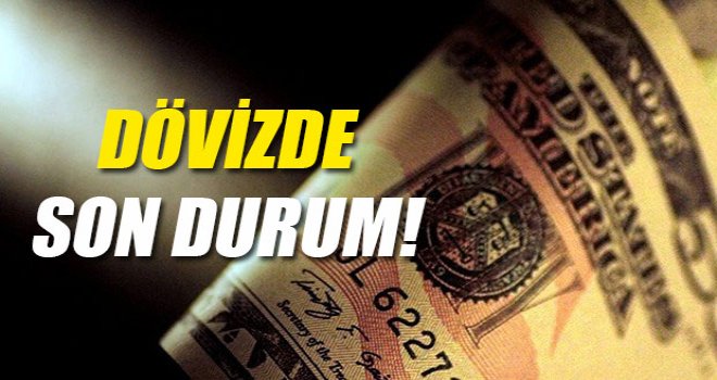 PİYASALARDA DÖVİZİN DURUMU