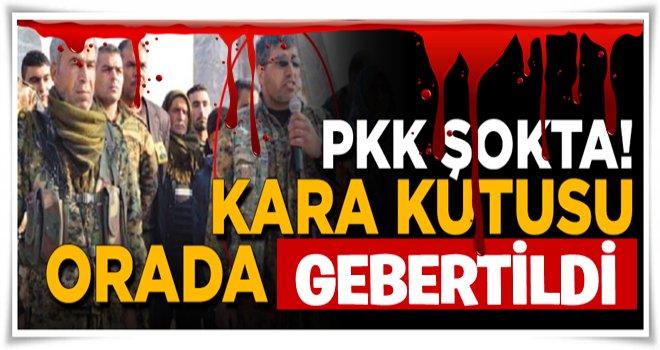 PKK'ya büyük şok! Suriye'deki 'kara kutusu' öldürüldü.