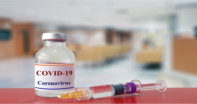 Putin'den koronavirüs aşısının tescillendiğini açıklaması