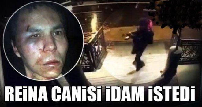 Reina canisi idam istedi