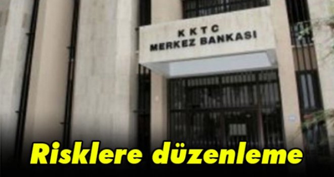 Risklere düzenleme