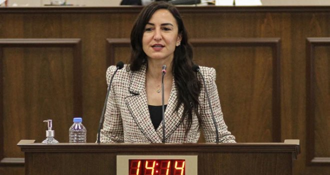 Rogers: Çevre hassasiyeti hükümet değil, devlet politikası olmalıdır