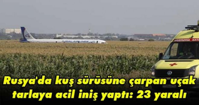 Rusya'da kuş sürüsüne çarpan uçak tarlaya acil iniş yaptı: 23 yaralı