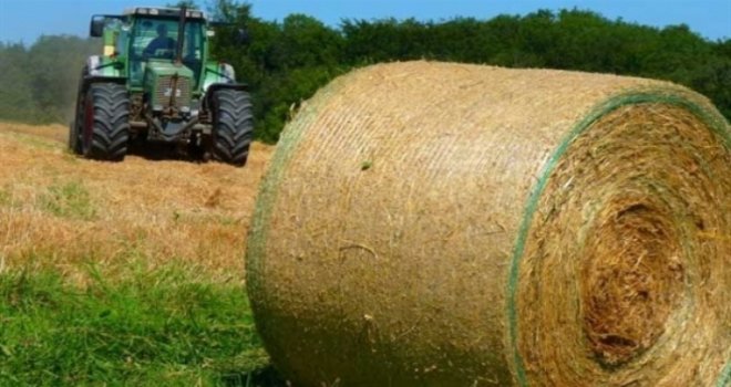 Sano ve silaj yapacak üreticilere duyuru