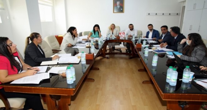 Seçim ve Halkoylaması (Geçici Kurallar) Yasa Tasarısı onaylanarak, Genel Kurul’a sevk edildi