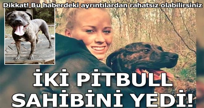 ŞOK! İki pitbull köpek, sahibini yedi