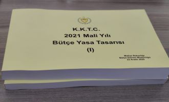 2021 MALİ YILI BÜTÇE YASA TASARISI KOMİTEDE...BAŞBAKANLIK VE 3 BAKANLIĞIN BÜTÇELERİ GÖRÜŞÜLÜYOR