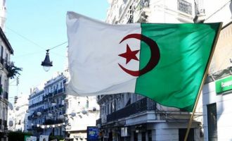 Cezayir yargısında grev krizi