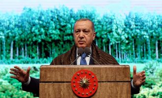 Cumhurbaşkanı Erdoğan: 'Türkiye sınırları boyunca terörist tehdidi ortadan kalkana kadar durmayacak..'