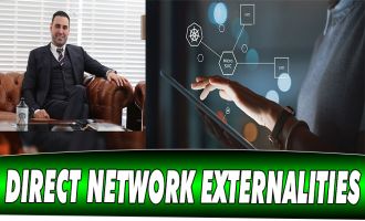 DIRECT NETWORK EXTERNALITIES
