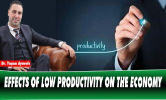EFFECTS OF LOW PRODUCTIVITY ON THE ECONOMY