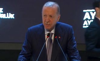 Erdoğan: KKTC’yi Doğu Akdeniz’in parlayan yıldızı haline getirdik