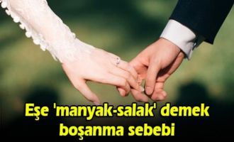 Eşe 'manyak-salak' demek boşanma sebebi