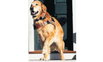 Hakkında kitaplar yazılan köpek öldü