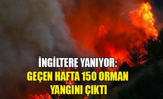 İngiltere yanıyor: Geçen hafta 150 orman yangını çıktı