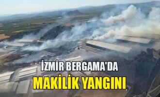 İzmir Bergama'da makilik yangını