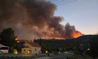 Üçüncü gününe giren Limasol yangınının Trodos Ormanları'na yayılmasından korkuluyor