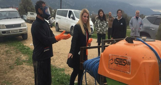 Tarım Dairesi eğitim çalışmalarına Çatalköy ile devam etti