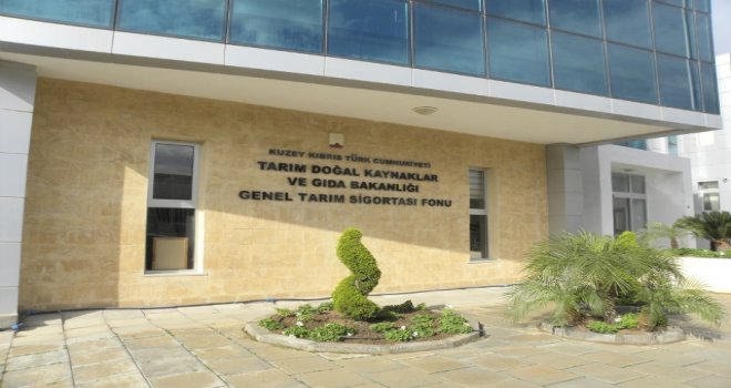 TARIM DAİRESİ FARE İLE MÜCADELE İÇİN ZEHİR DAĞITMAYA BAŞLADI.