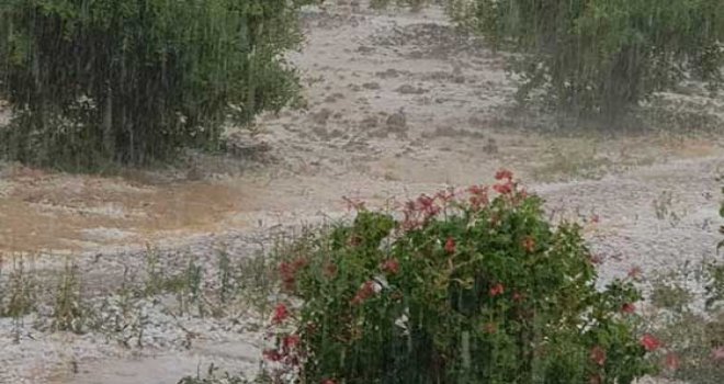Tarım ve Doğal Kaynaklar Bakanlığı yoğun yağışlardan zarar gören bölgeler hakkında açıklama yaptı