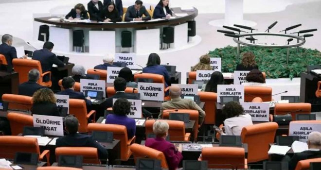 Tartışılan yasa hayata buldu: Türkiye’de sokak hayvanları düzenlemesi Meclis'ten geçerek yasalaştı