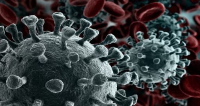 Tüm Dünyada Endişe Yaratan Yeni Koronavirüs Varyantı XBB 