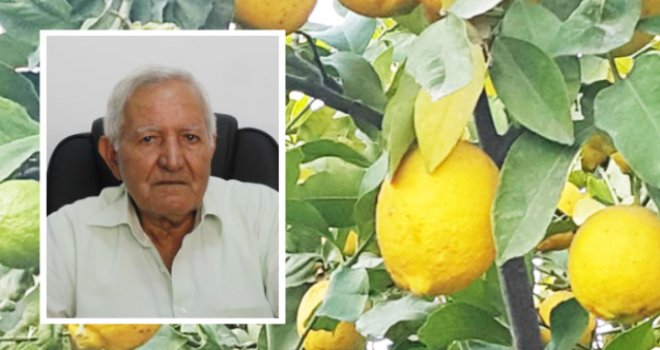 Üreticiler ne zaman ödenecek?