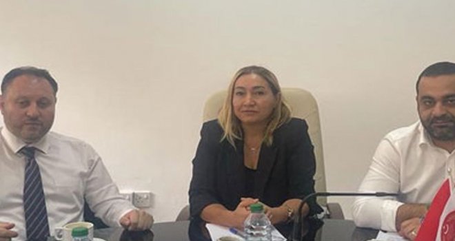 Yabancılar ve muhaceret yasa tasarısı komiteden geçti.