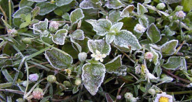 YARIN VE CUMA SABAHI DON OLAYI BEKLENİYOR…