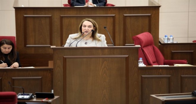 YATAKLI TEDAVİ KURUMLARI DAİRESİ YASA TASARISI'NA OY BİRLİĞİ
