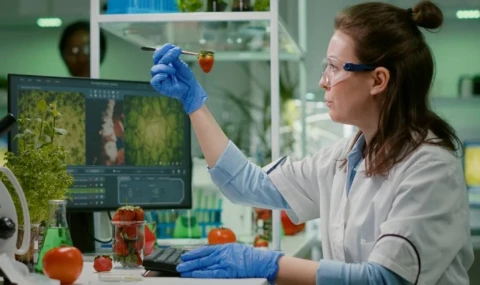 Gıda Mühendisleri Odası: Güvenli gıda, sağlıklı hayvanla başlar