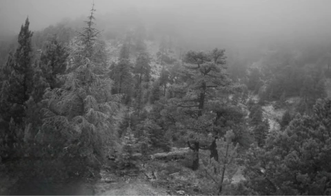 Trodos dağlarına yılın ilk karı düştü