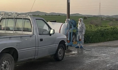 Güney Kıbrıs’ta şap alarmı büyüyor: Domuz çiftliğinde de ilk vaka kaydedildi