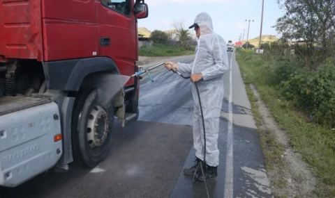 Güney Kıbrıs’ta şu ana kadar 30 bin 493 hayvan itlaf edildi