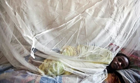 Nijerya’da Lassa ateşi nedeniyle ölenlerin sayısı yükseldi!