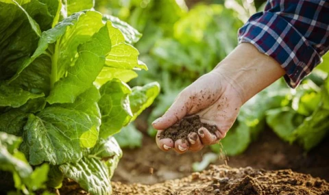 FAO "Küresel gıda fiyatları son 3 yılın zirvesinde"